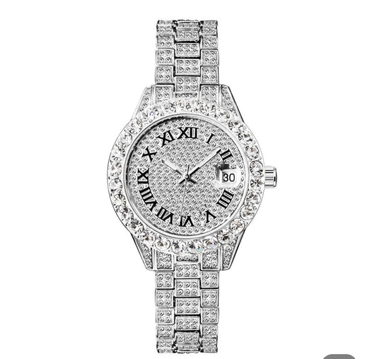 Irreplaceable Silver Stainless Steel Iced Out Watch